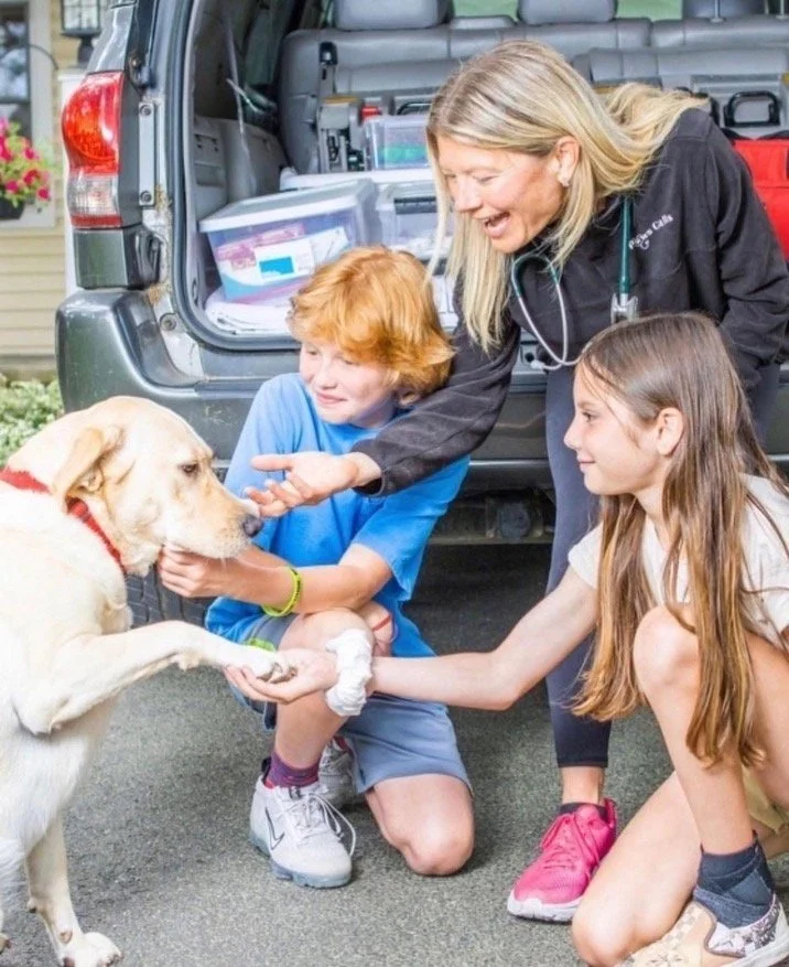 Dr. Kara M. Ryczek providing in-home veterinary care